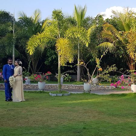 Dhammika Magic Palace Wadduwa Exteriér fotografie