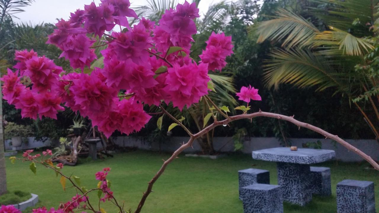 Dhammika Magic Palace Wadduwa Exteriér fotografie